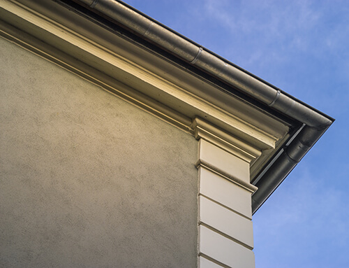 Eco Mold Go Cleans Gutters