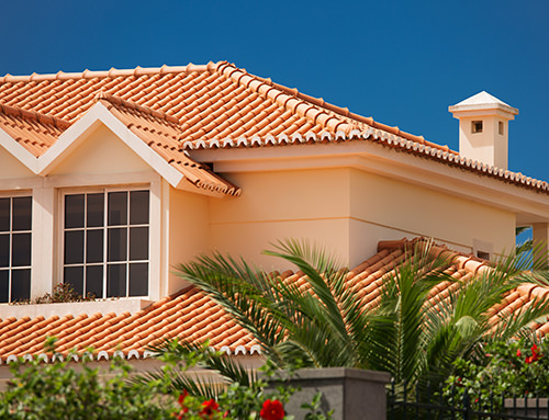 Eco Mold Go Cleans Roofs and Tile